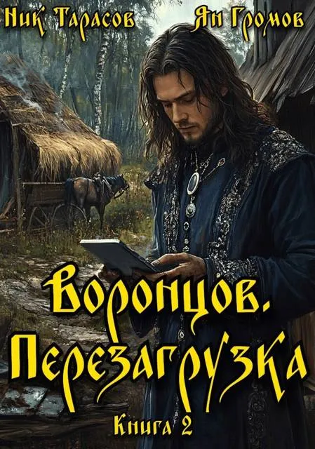 Воронцов. Перезагрузка. Книга 2