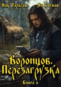 Воронцов. Перезагрузка. Книга 6