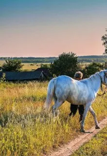 Жизнь прожить, не поле перейти.